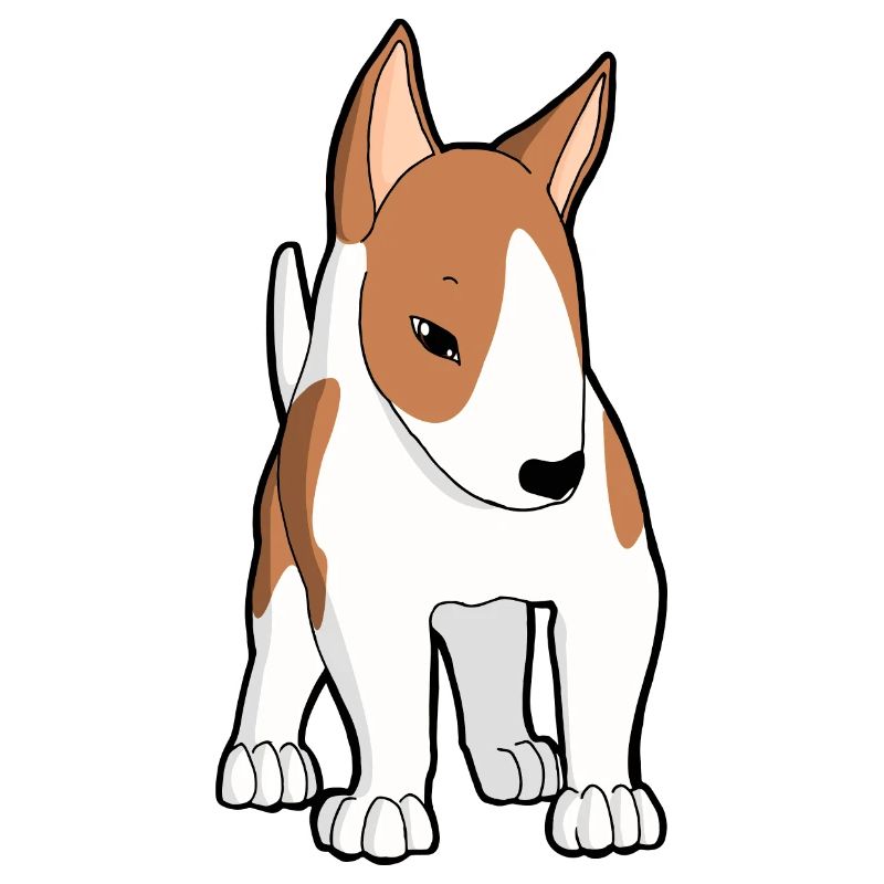 Weißer Kitzbullterrier