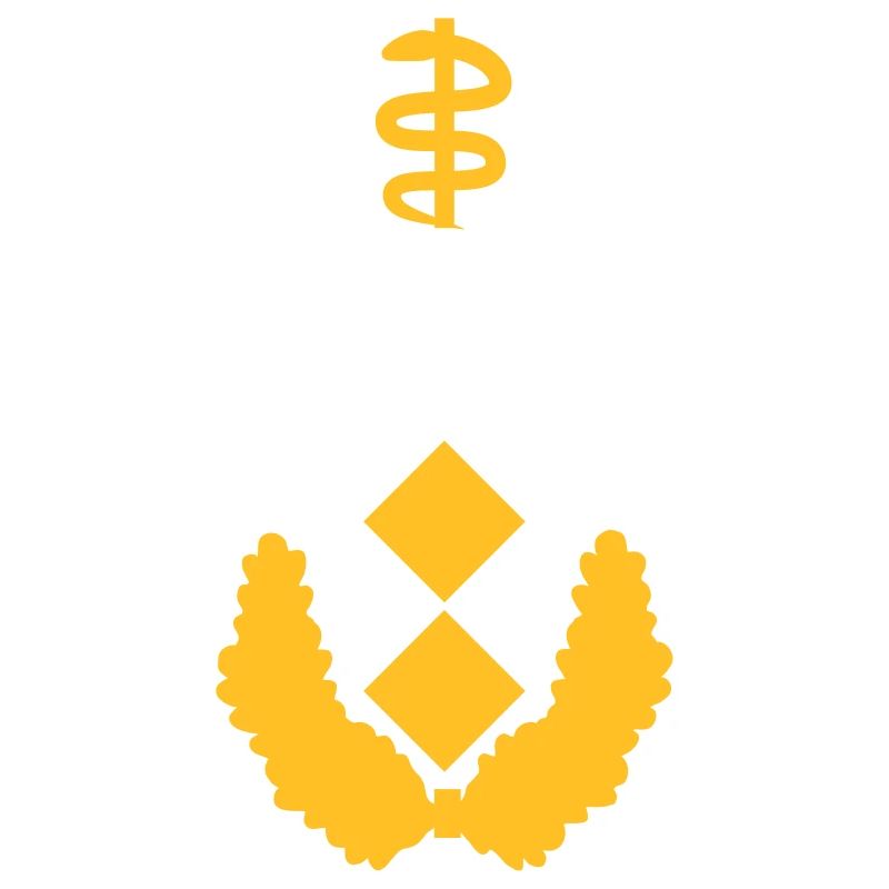 Generalstabsarzt Dienstgrad