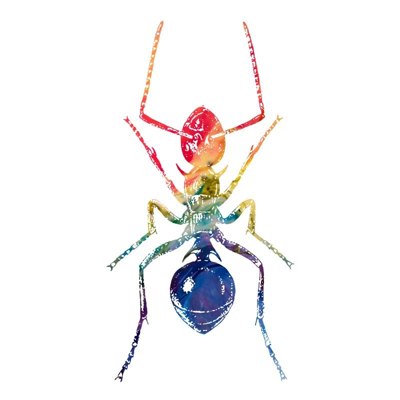 Ant