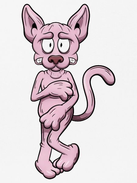 Nackte Sphynx Katze