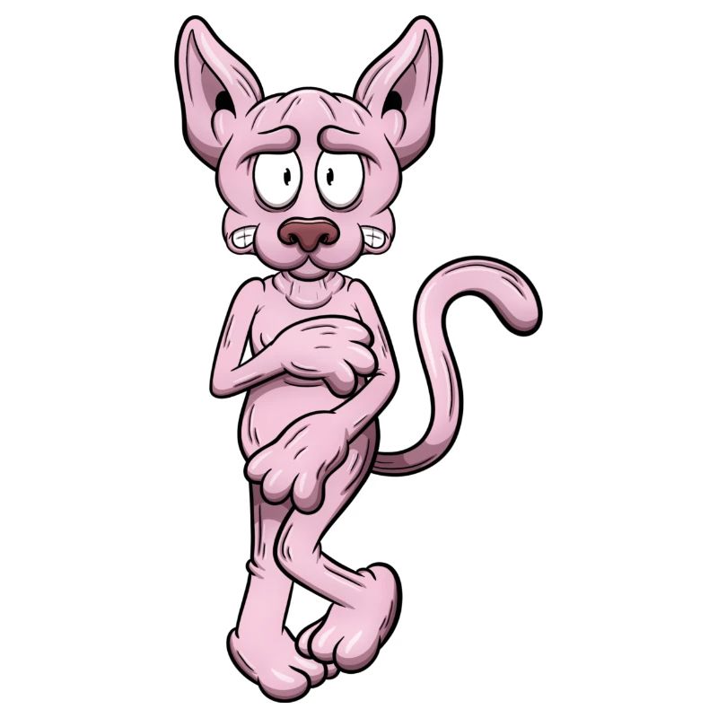 Nackte Sphynx Katze