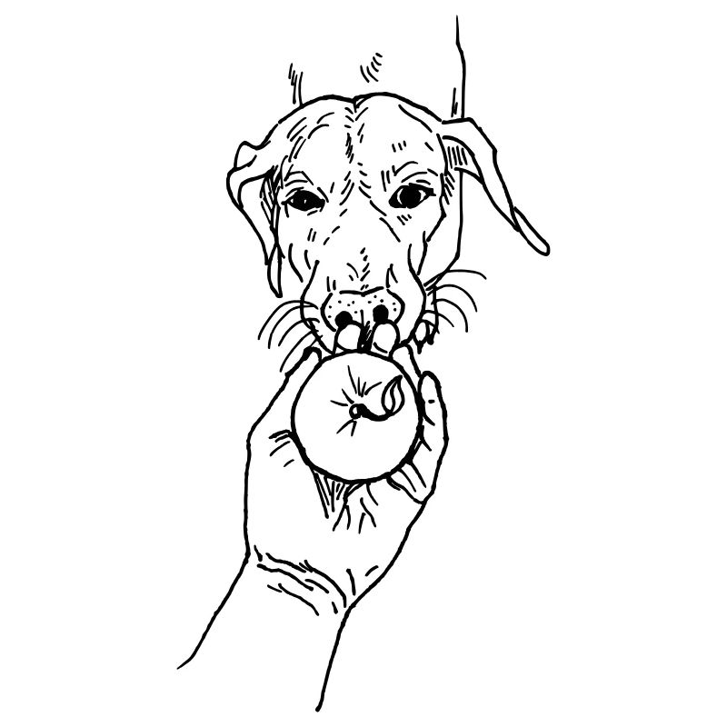 Hund mit Apfel