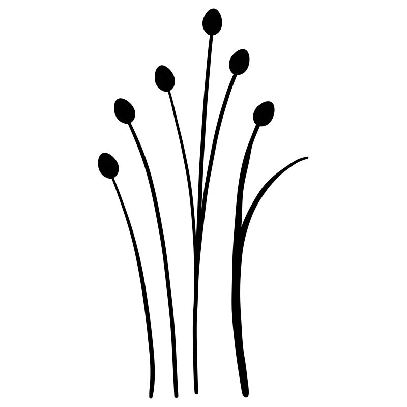 simple Wildblume