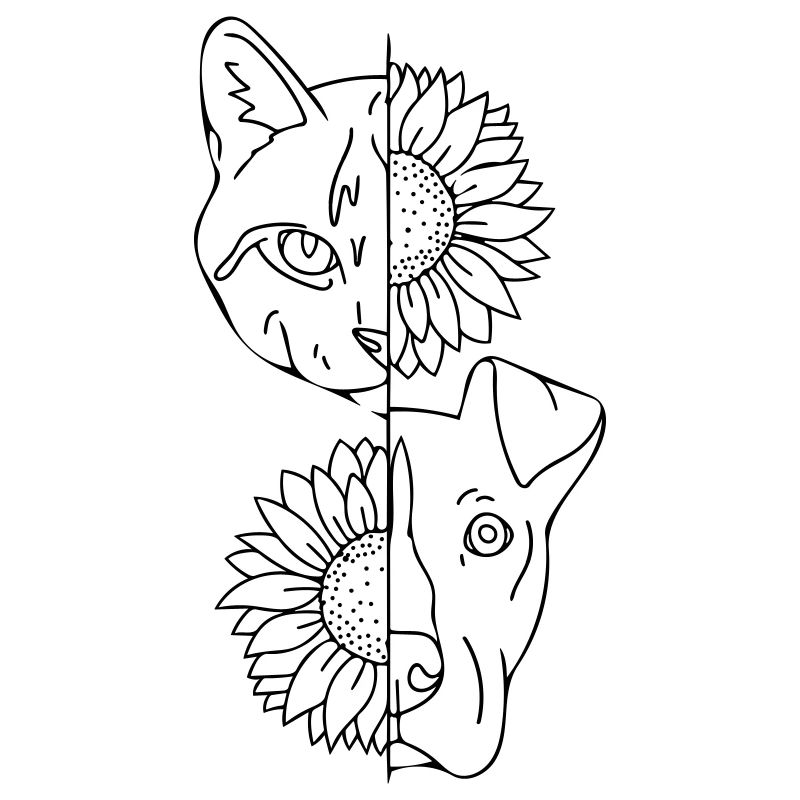 Katze und Hund