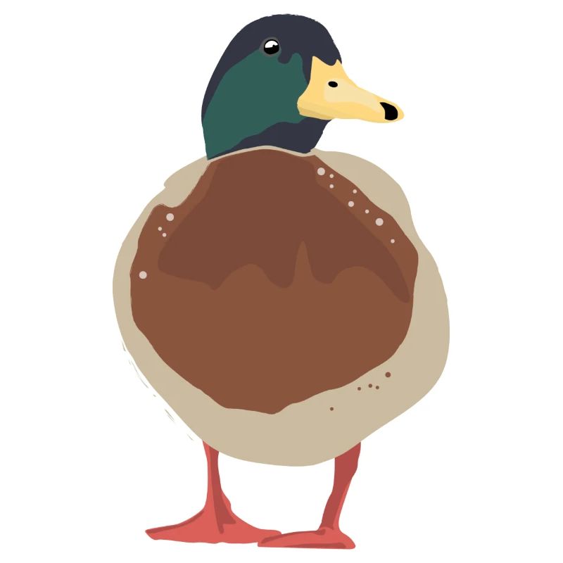 Ente Illustration