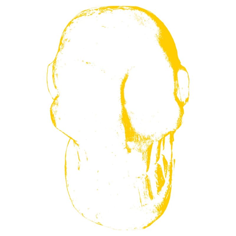 skulldesigner_RODRIGOdelTaxco
