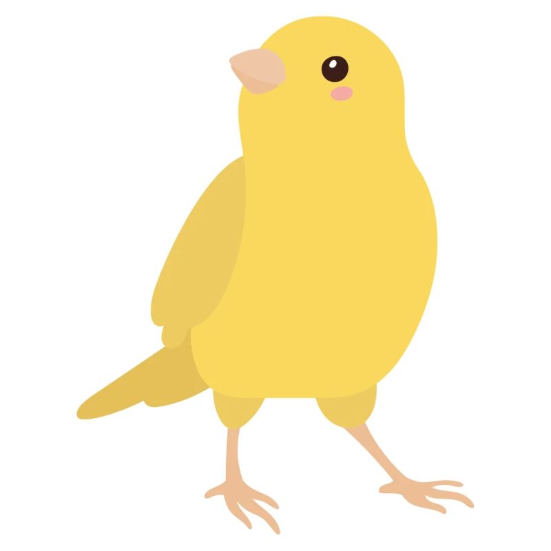 Kanarienvogel