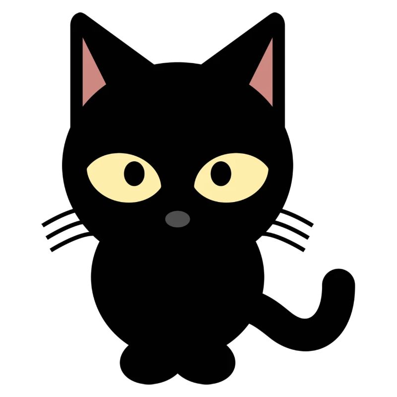 Black cat