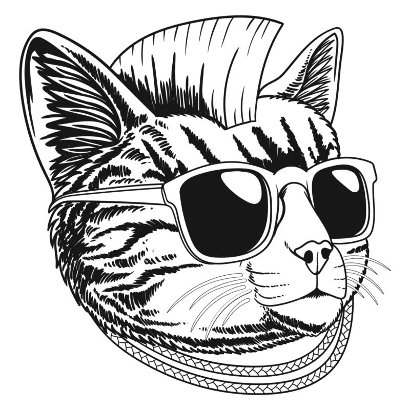 Punk Cat