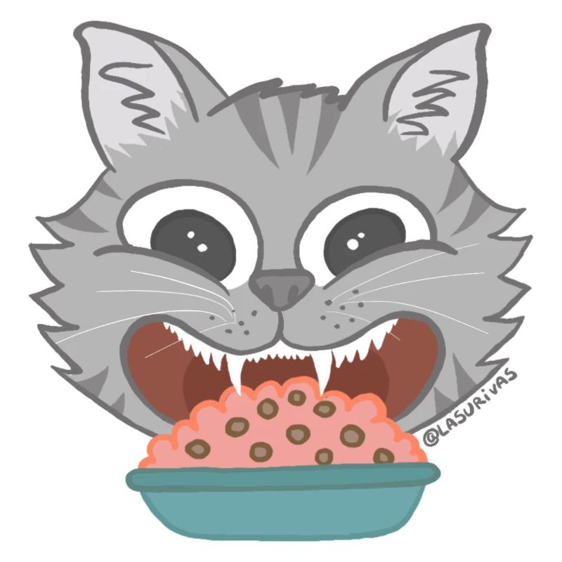 Gato