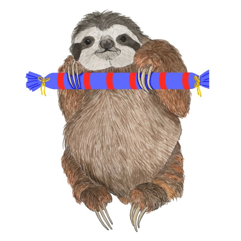 Faultier mit Geschenk
