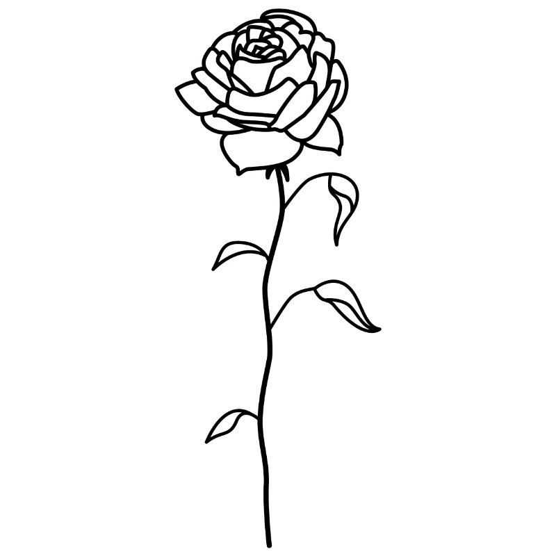 Rose | Rose | Illustration | Tattoo