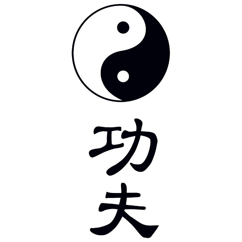 tao kung fu