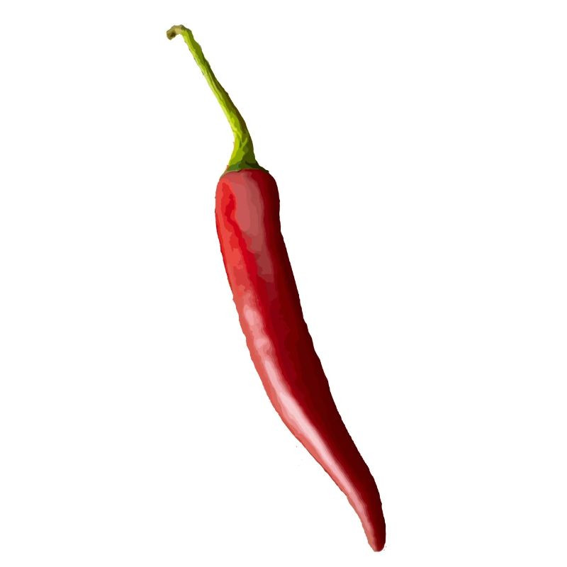 Paprika