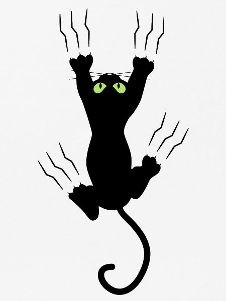 BAD BLACK CAT