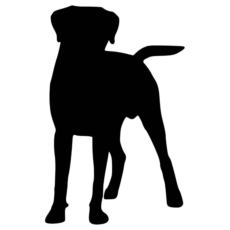 Boxer Silhouette