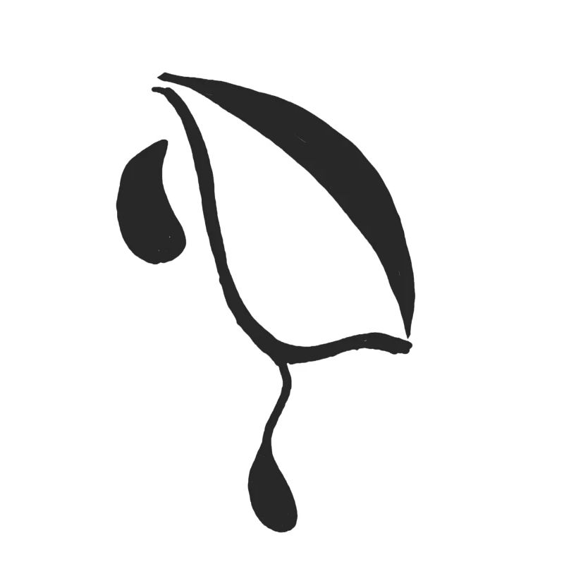 Ein weiterer Eyelagrimas