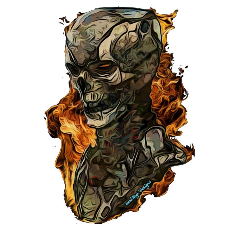 Skull cyborg
