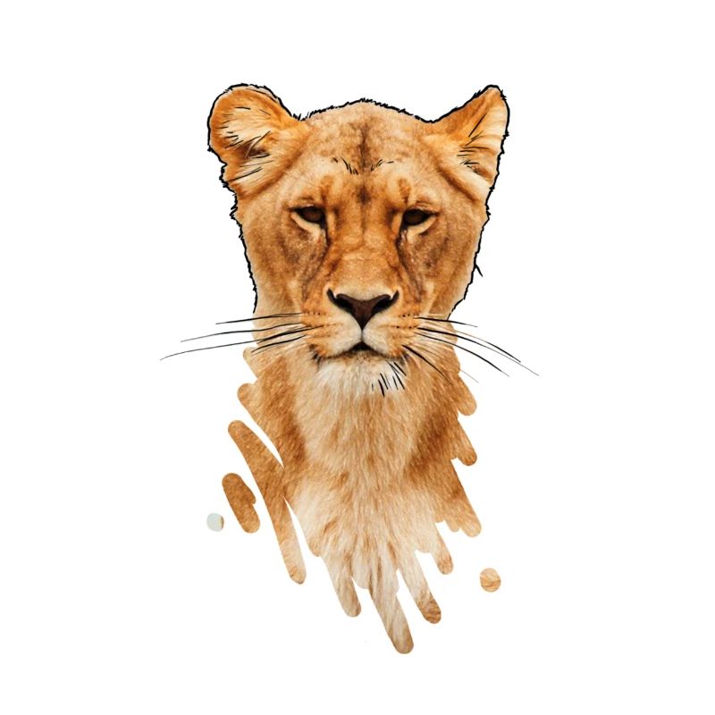 lioness