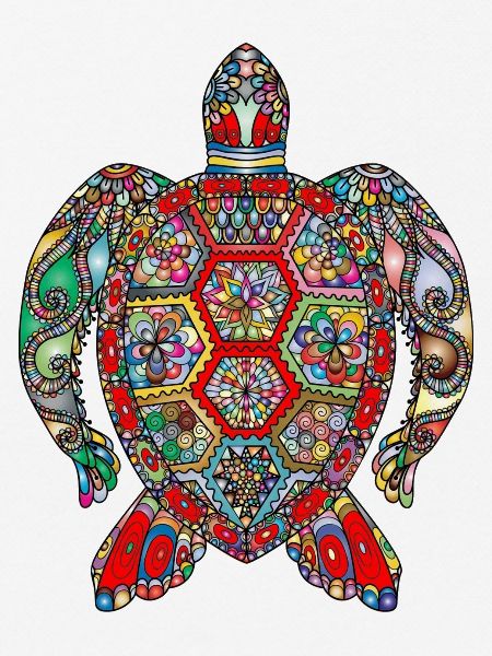 sea turtle colourful