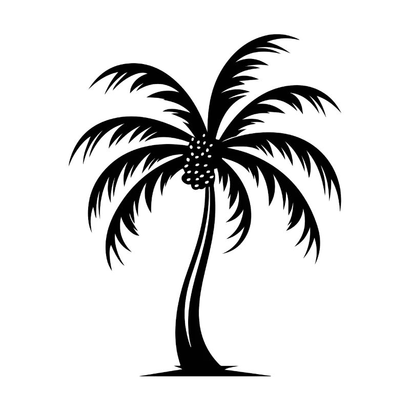Palme Urlaub