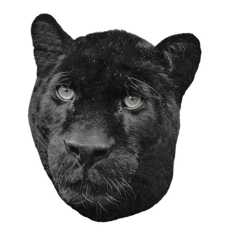 Schwarzer Panther