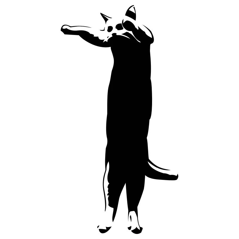 Longcat