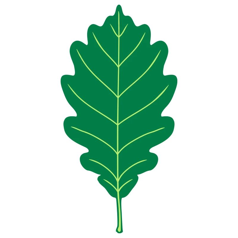Oak Leaf