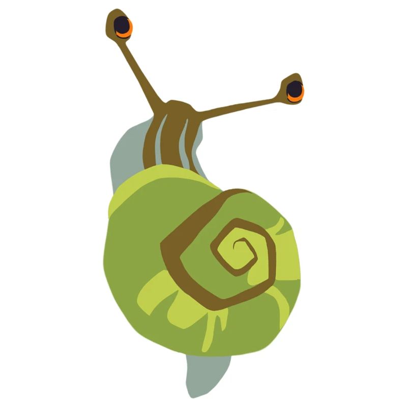 Schnecke tigré
