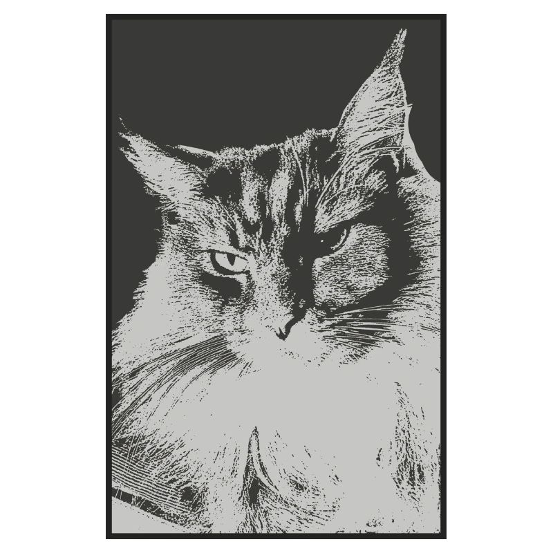 Maine Coon Relax