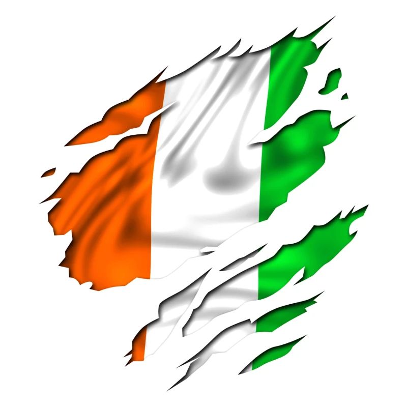 fahne ireland irland