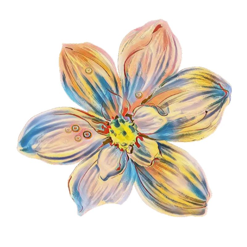 Blüte