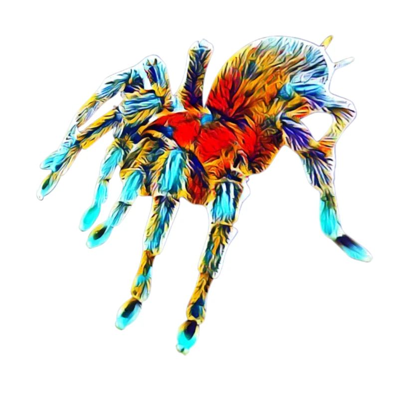 Vogelspinne