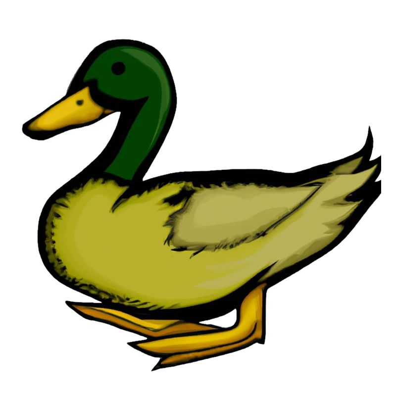 Duck Illustration