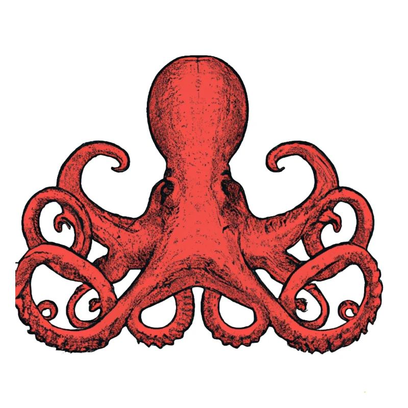 Oktopus-Illustration