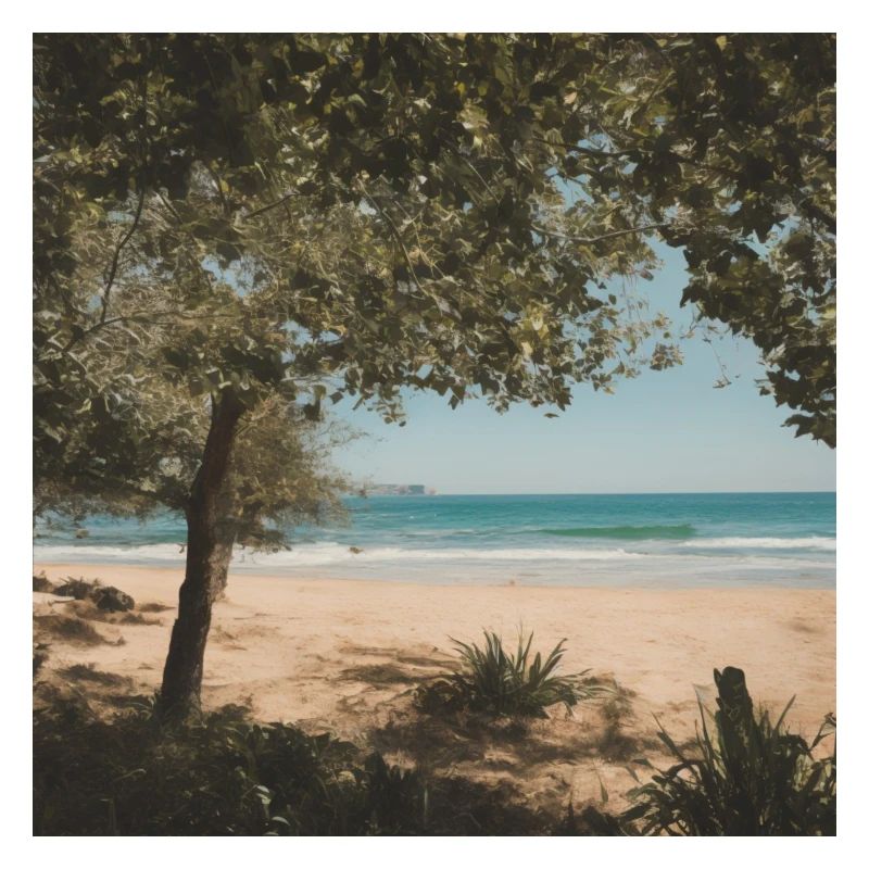 Photography Beach