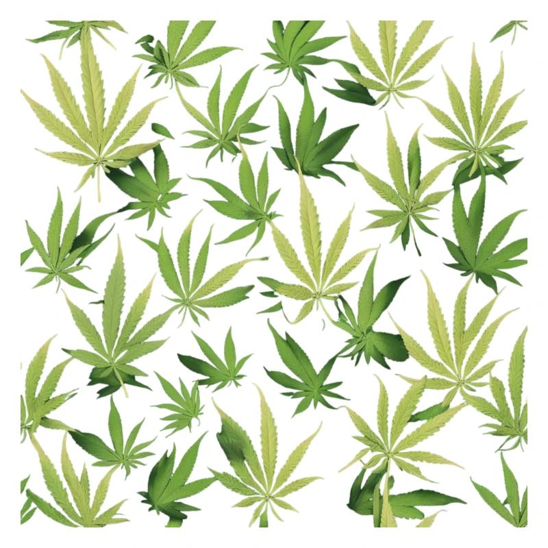 Cannabis 2