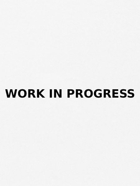 Work in Progress