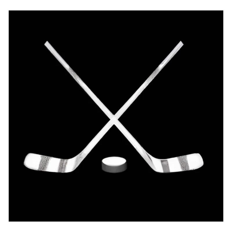Hockeyschläger mit Puck