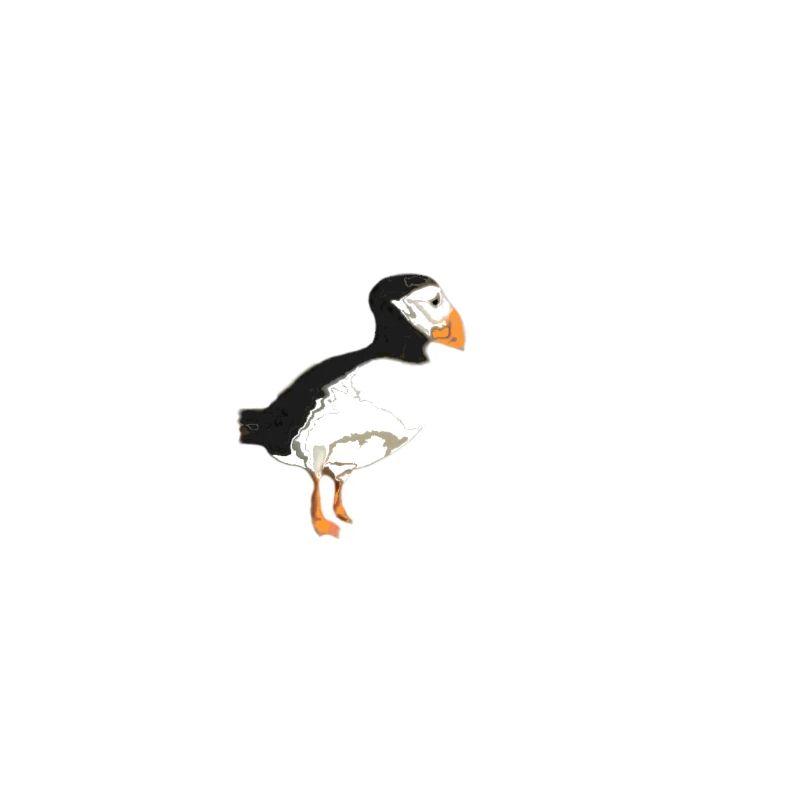 Papageientaucher