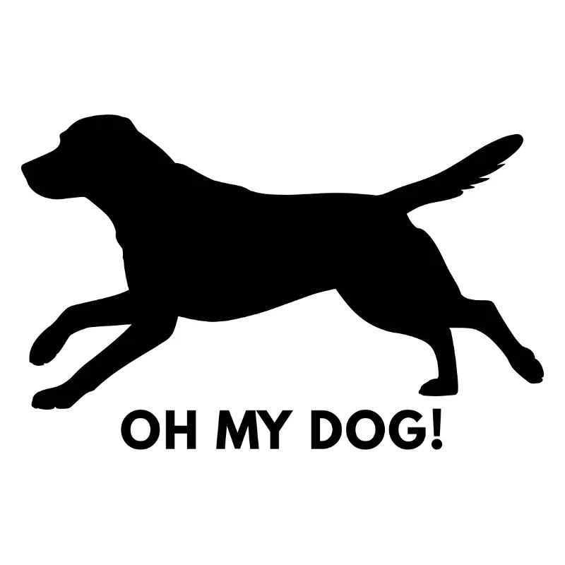 Labrador my Dog