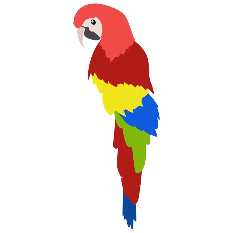 Bunter Papagei Tropischer Dschungelvogel