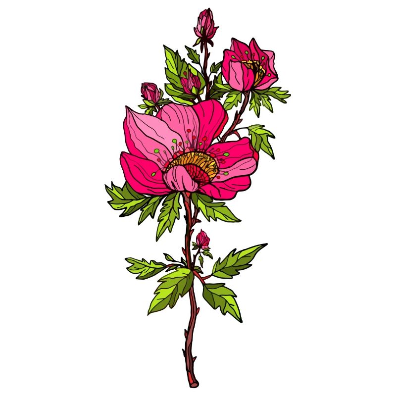 Rote Rosen