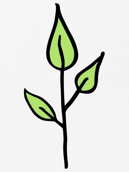 Natur, Pflänzchen