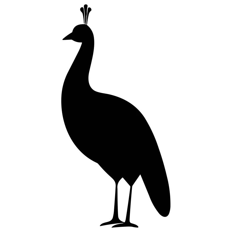Kleiner Pfau