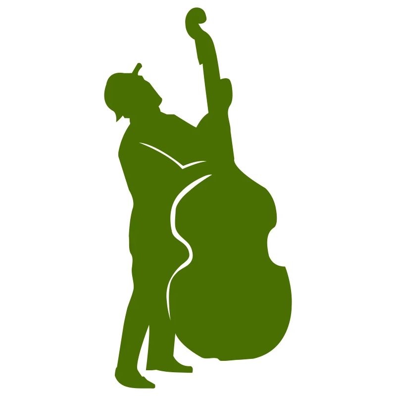 bass player