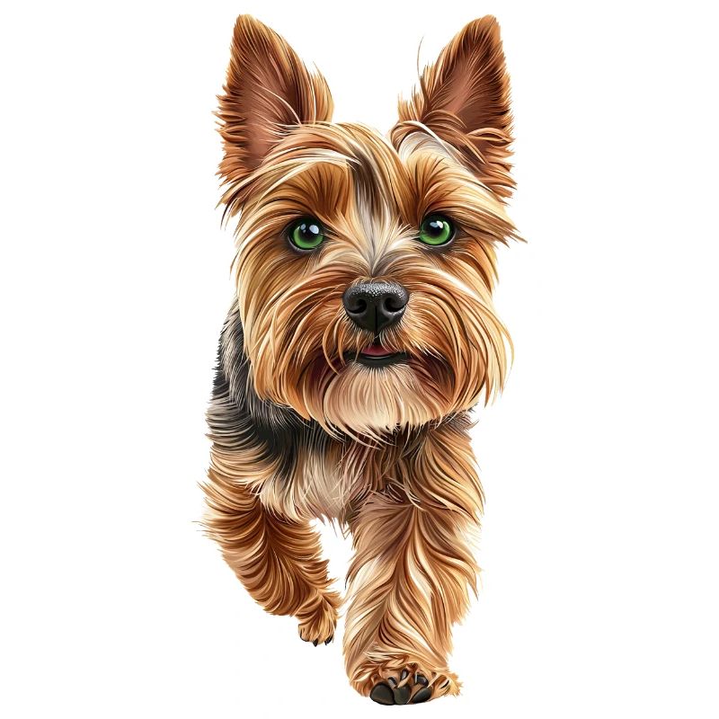 Yorkshire Terrier