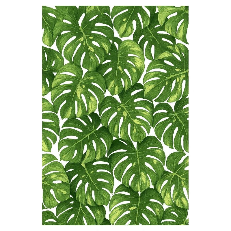 Monstera