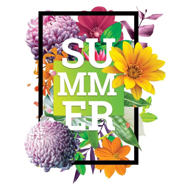 SUMMER FLOWERS