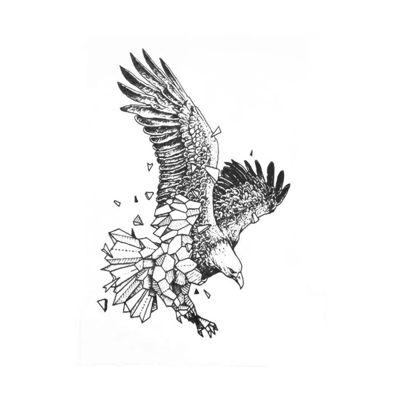 Adler